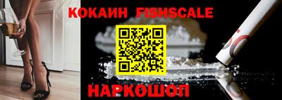 apvp Камышлов