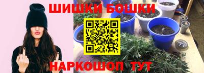 apvp Камышлов