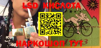 apvp Камышлов