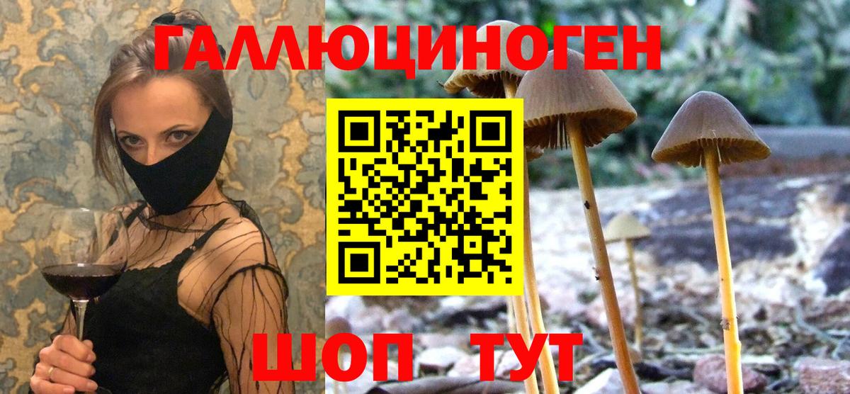 Галлюциногенные грибы мицелий  Вход с VPN  Псилоцибиновые грибы MAGIC MUSHROOMS  Коряжма 