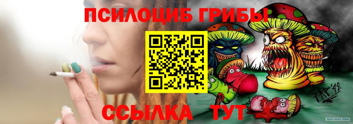 АМФЕТАМИН кристаллы  Конопля  КОКАИН  LSD-25  Вход с VPN  Каннабис  ЭКСТАЗИ  А ПВП СОЛЬ кристаллы  Коряжма  ГАШИШ  Меф  